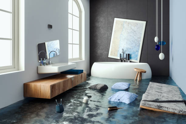 Best Local water damage restoration  in Olivia, MN