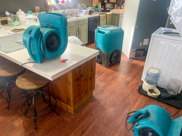Best Flooded house restoration  in Olivia, MN