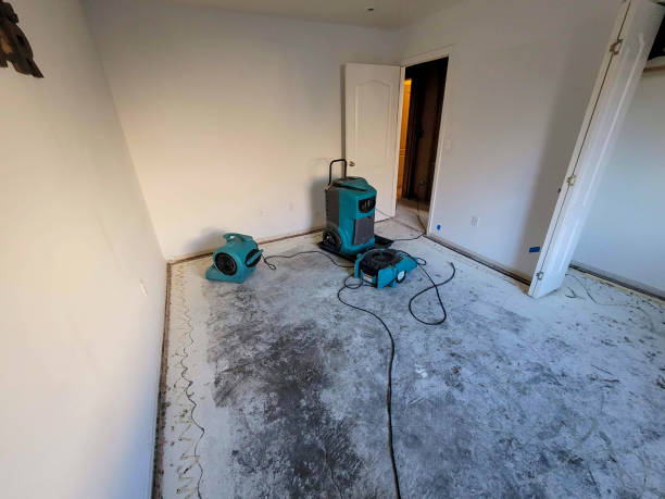 Best 24-hour water damage restoration  in Olivia, MN