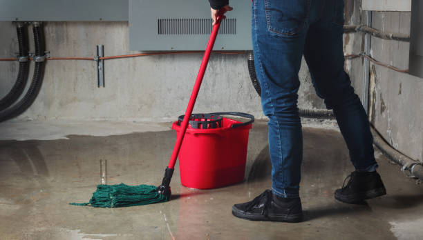 Best Water damage restoration near me  in Olivia, MN