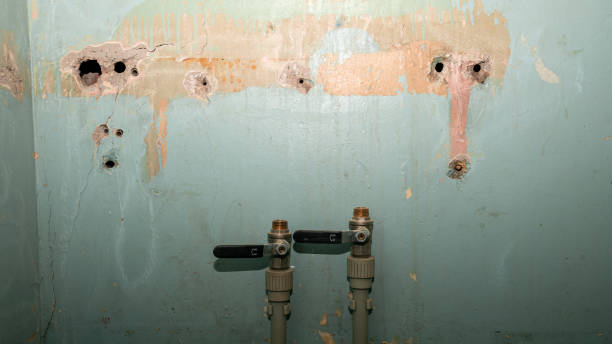 Best Residential water damage restoration  in Olivia, MN