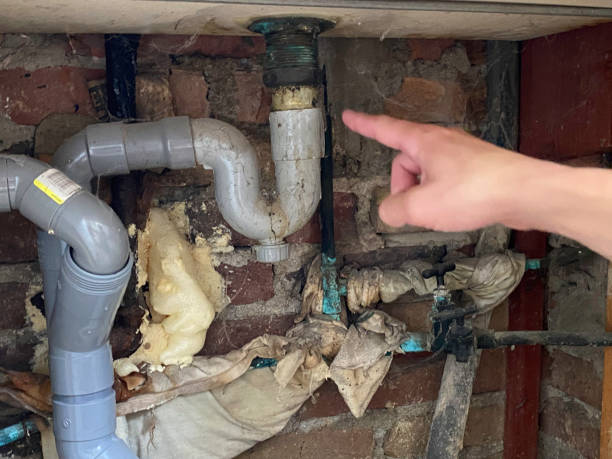 Best Water damage contractors near me  in Olivia, MN