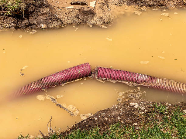 Best Commercial water damage restoration  in Olivia, MN