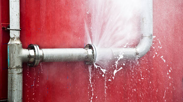 Best Fire Damage Restoration  in Olivia, MN
